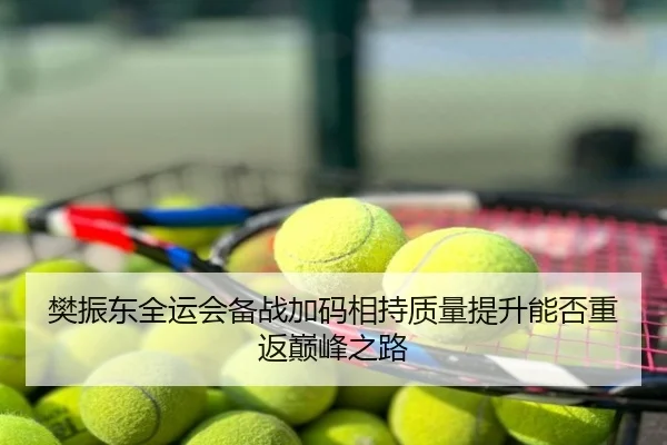 樊振东全运会备战加码相持质量提升能否重返巅峰之路
